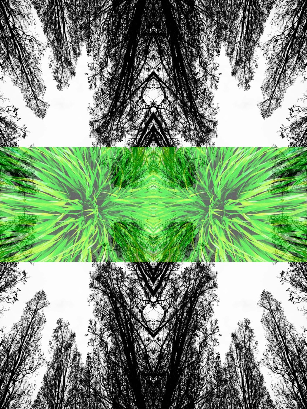 NELL'ATTESA DI UN SOFFIO — 69 × 80 FINE ART PRINT ON COTTON PAPER ON ALLOY FRAME IN WOOD
